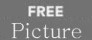 SRFree Picture